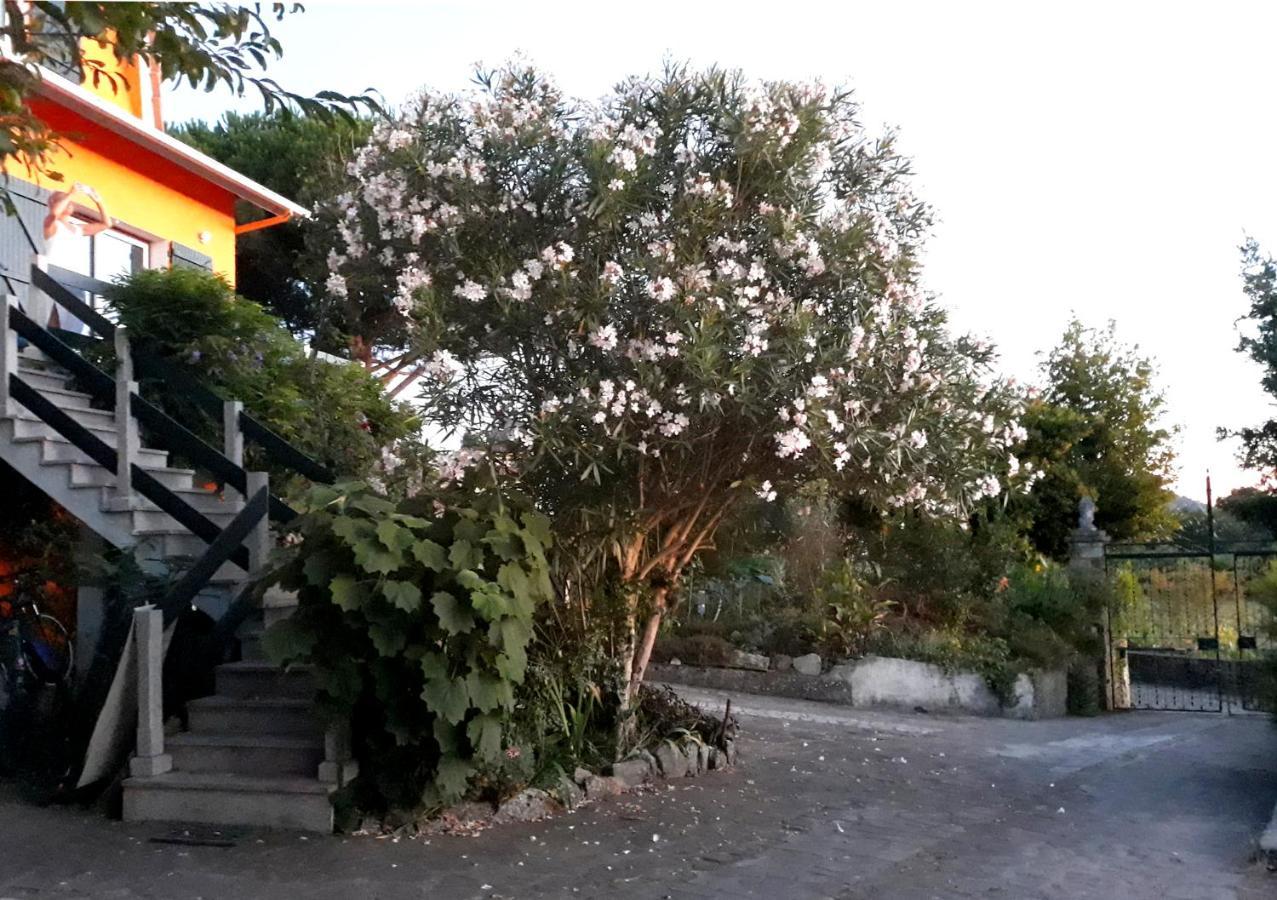 Casa Gwendoline - Albergue / Hostel / Al - Caminho Da Costa Віла-Нова-де-Сервейра Екстер'єр фото